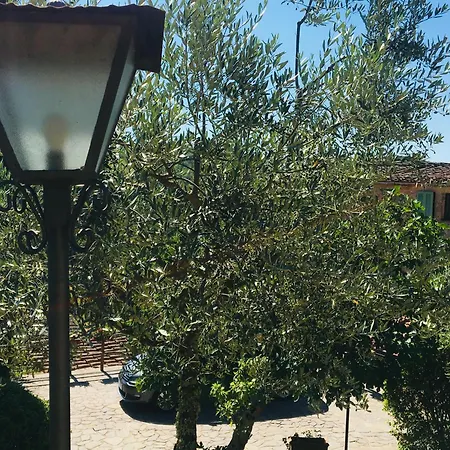 Vakantiehuis Celle Di Lecchi Fienile San Sano