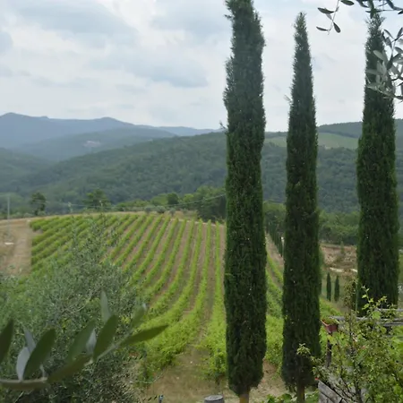 Celle Di Lecchi Fienile