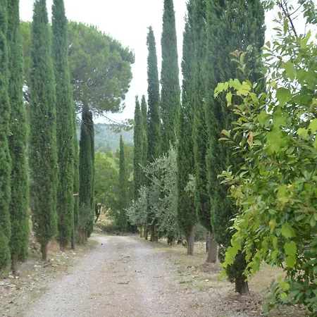 Celle Di Lecchi Fienile *