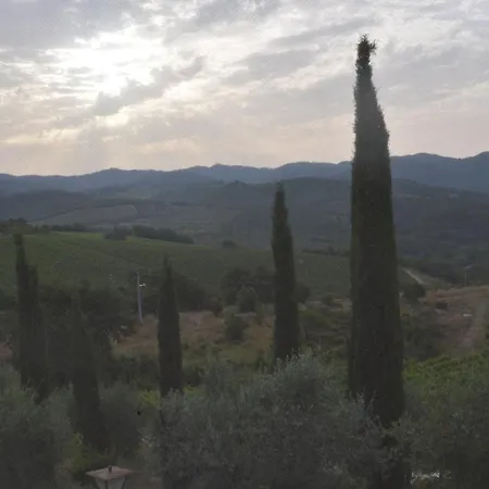 Celle Di Lecchi Fienile San Sano