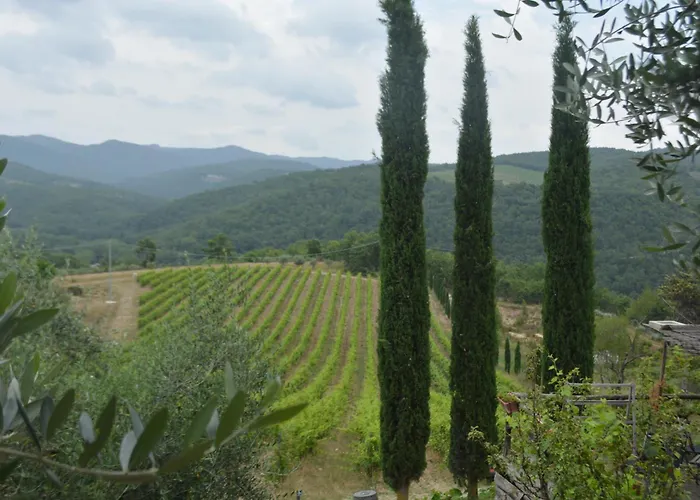 Celle Di Lecchi Fienile