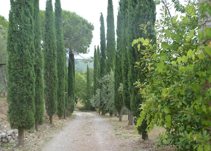 Celle Di Lecchi Fienile *